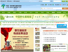 Tablet Screenshot of kanmogu.com